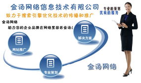 金湯網(wǎng)絡信息技術(shù) 助您品牌固若金湯的SEO解決方案